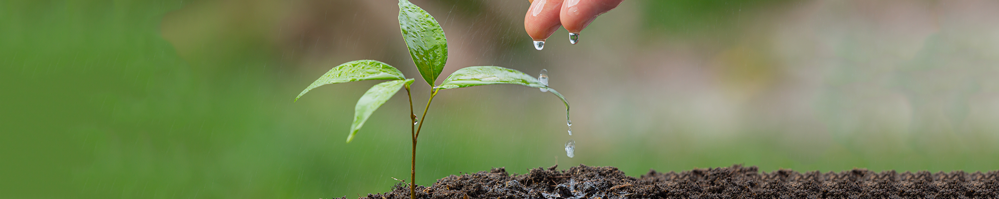 Conservação e Biodiversidade